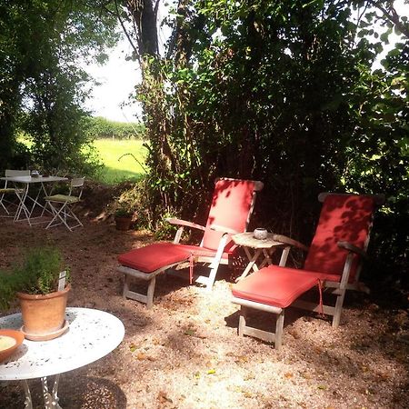 Appartamento The Potting Shed Little Torrington Esterno foto