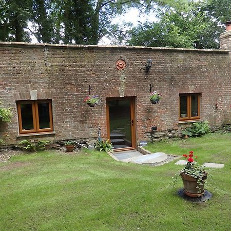 Appartamento The Potting Shed Little Torrington Esterno foto