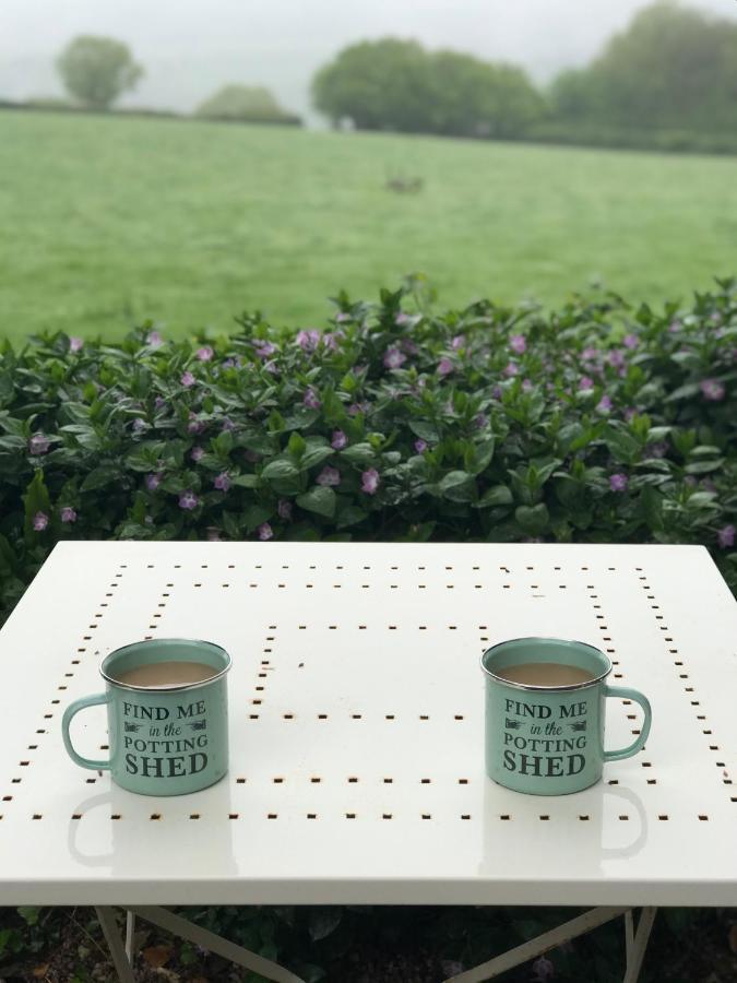 Appartamento The Potting Shed Little Torrington Esterno foto