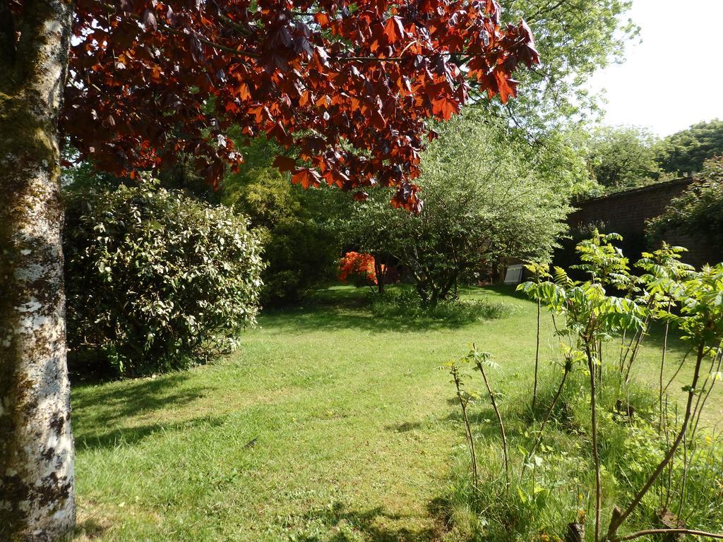 Appartamento The Potting Shed Little Torrington Esterno foto