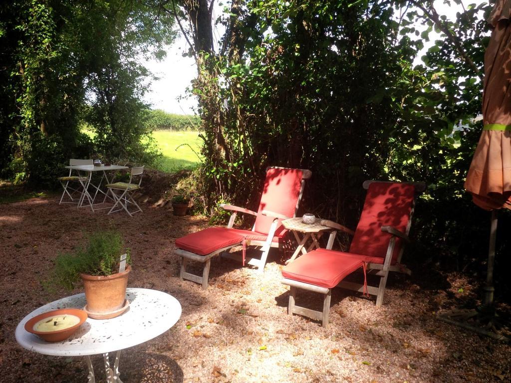 Appartamento The Potting Shed Little Torrington Esterno foto