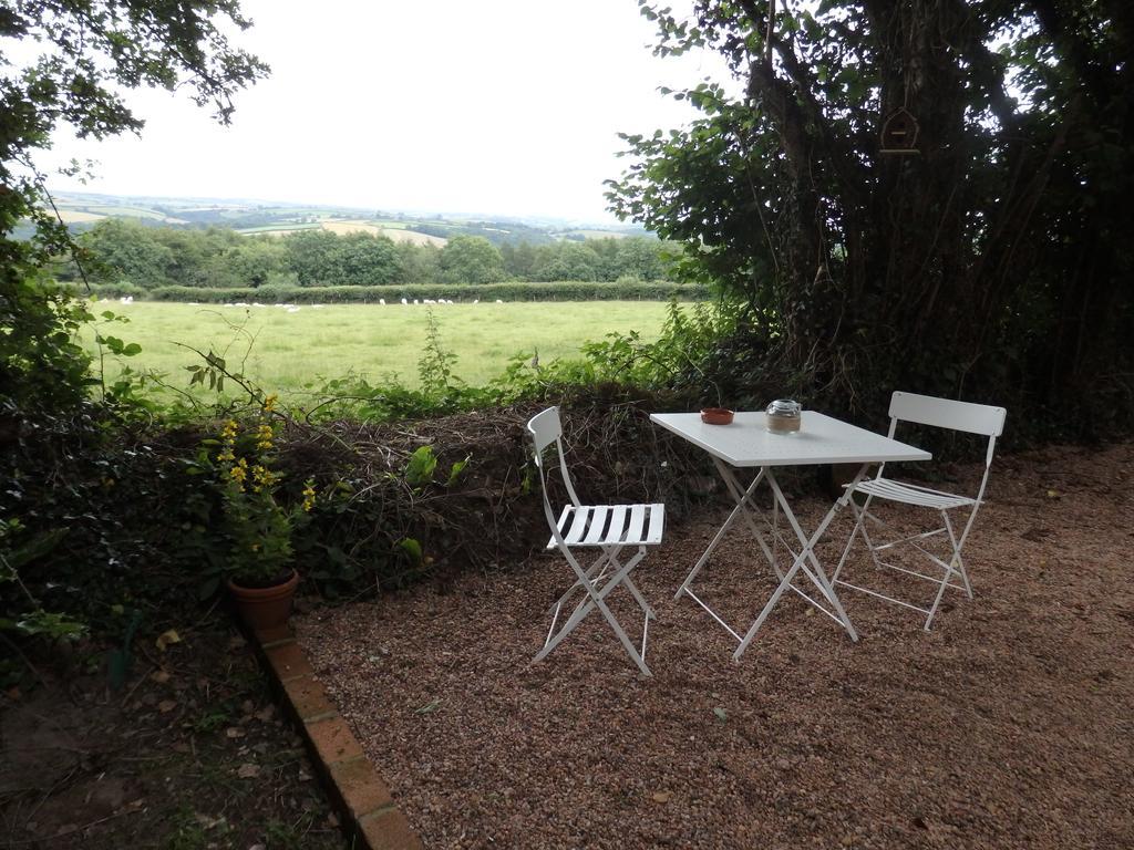 Appartamento The Potting Shed Little Torrington Esterno foto